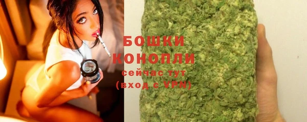 ПСИЛОЦИБИНОВЫЕ ГРИБЫ Аркадак