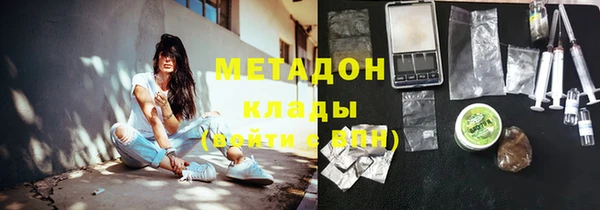 гидра Ельня