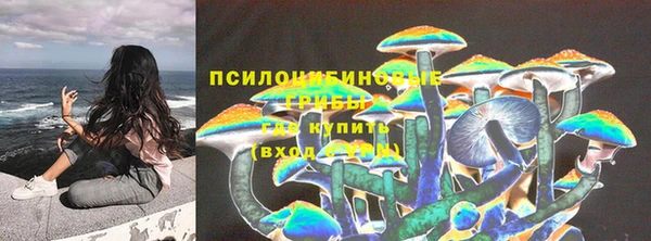 прущая мука Армянск