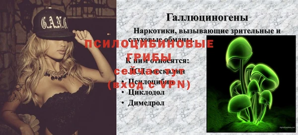 ПСИЛОЦИБИНОВЫЕ ГРИБЫ Аркадак