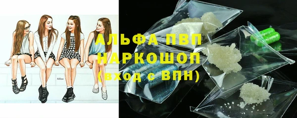 ПСИЛОЦИБИНОВЫЕ ГРИБЫ Аркадак