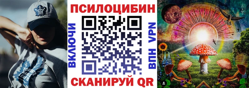 Галлюциногенные грибы Psilocybe сколько стоит Глазов