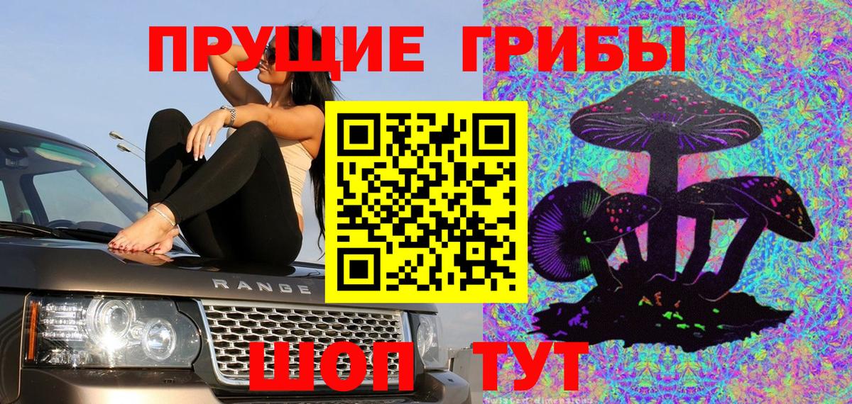 Глазов  Псилоцибиновые грибы Psilocybine cubensis  Вход с VPN 